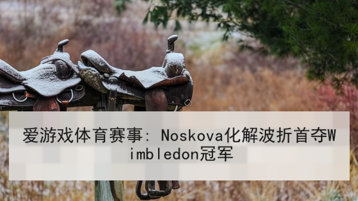 爱游戏体育赛事: Noskova化解波折首夺Wimbledon冠军