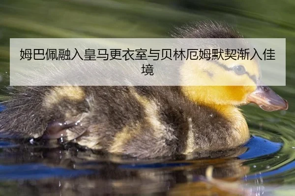 mu-ba-pei-rong-ru-huang-ma-geng-yi-shi-yu-bei-lin-e-mu-mo-qi-jian-ru-jia-jing-3-896.jpg