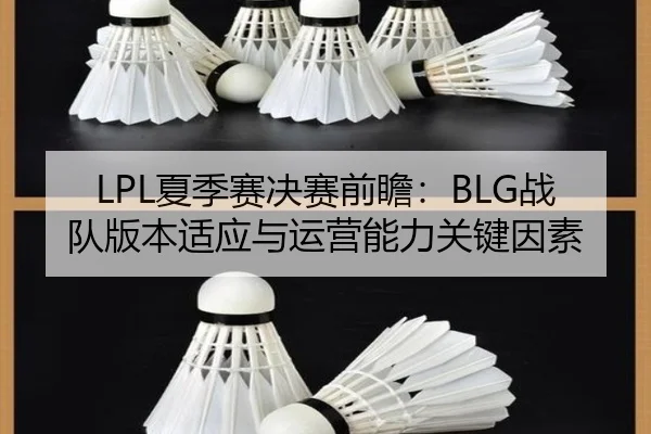 xia-ji-sai-jue-sai-qian-zhan-zhan-dui-ban-ben-shi-ying-yu-yun-ying-neng-li-guan-jian-yin-su-2-893.jpg