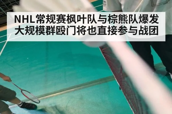 NHL常规赛枫叶队与棕熊队爆发大规模群殴门将也直接参与战团